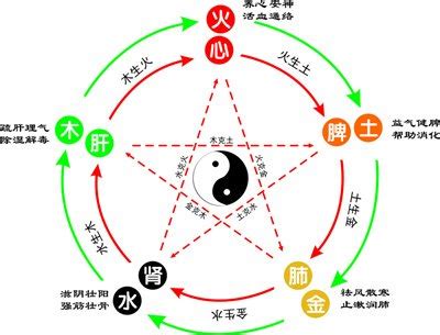 桐五行|桐五行属什么